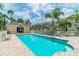 Beautiful community pool with plenty of lounge chairs and umbrellas; lush landscaping surrounds the pool at 31 Estuary Trl, Clearwater, FL 33759