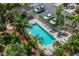 Aerial view of a sparkling community pool surrounded by palm trees and lounge chairs, a perfect oasis for relaxation at 31 Estuary Trl, Clearwater, FL 33759