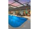 Inviting screened-in pool perfect for outdoor relaxation with lounge chairs and seating at 4588 Baycedar Ln, Sarasota, FL 34241
