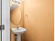 Bathroom with pedestal sink, oval mirror, and warm peach-colored walls at 10819 Kensington Park Ave, Riverview, FL 33578