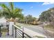 Palm trees in the area surrounding the property with a view of a nearby street at 1110 25Th N St, St Petersburg, FL 33713