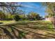 Huge backyard featuring a lush lawn, mature trees, and privacy fence at 1975 Levine Ln, Clearwater, FL 33760