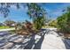 Circular driveway leads to property, showcasing mature trees and lush landscaping in a well-maintained neighborhood at 1975 Levine Ln, Clearwater, FL 33760
