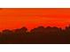Landscape scene featuring a dark treeline silhouetted against a bright orange and red sky at 2102 W Knights Griffin Rd, Plant City, FL 33565