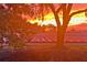 Scenic sunset view overlooking farmland from property at 2102 W Knights Griffin Rd, Plant City, FL 33565