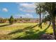 Expansive backyard featuring lush greenery, native grasses, and a variety of trees offering serene views at 6104 Talon Preserve Dr, Nokomis, FL 34275