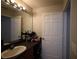 Bathroom with large mirror above the sink, offering ample light at 8010 Bally Money Rd, Tampa, FL 33610