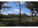 Picturesque pond view framed by trees in a serene community setting at 8010 Bally Money Rd, Tampa, FL 33610