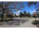 A quiet street view in a residential community on a bright sunny day at 8010 Bally Money Rd, Tampa, FL 33610
