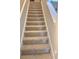 Carpeted staircase, framed by white walls and trim, leads to the next level of the home at 9729 Asbel Estates St, Land O Lakes, FL 34638