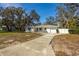 A well-maintained single story home with a concrete driveway and a front lawn, surrounded by mature trees at 2050 Nigels Dr, Dunedin, FL 34698