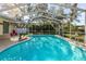 Inviting screened in pool area with clear water, poolside decor, and plenty of space for outdoor relaxation at 2050 Nigels Dr, Dunedin, FL 34698