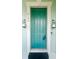 Inviting teal front door with modern black hardware and sidelights, enhancing curb appeal at 6157 Castleton Hollow Rd, Riverview, FL 33578