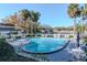 Community pool surrounded by tables, chairs, lounges, and mature palm trees at 1321 N Mcmullen Booth Rd # 1321, Clearwater, FL 33759
