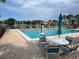 Inviting community pool with seating and views providing residents with a recreational space at 1725 Pine Ridge E Way # C, Palm Harbor, FL 34684