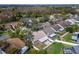 Neighborhood with backyard patios and well-maintained homes surrounded by lush trees and tranquil lake views at 1728 Elk Spring Dr, Brandon, FL 33511