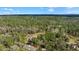 Aerial view of a secluded home surrounded by lush greenery and mature trees providing lots of privacy at 22259 Skyview Cir, Brooksville, FL 34602