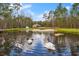 Picturesque pond with swans and ducks, reflecting the trees and cloudy sky at 22259 Skyview Cir, Brooksville, FL 34602
