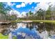Large pond with wildlife, a wood deck, and a sandy shore at 22259 Skyview Cir, Brooksville, FL 34602