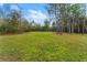 Lawn area with scattered trees and a bright blue and cloudy sky at 22259 Skyview Cir, Brooksville, FL 34602