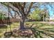 Shady backyard featuring mature trees, lush green grass, and multiple swings, perfect for relaxation and play at 27 Park Ave, Tarpon Springs, FL 34689