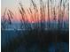 A serene beach scene with sea oats silhouetted against a beautiful sunrise at 405 S Lake Dr, Clearwater, FL 33755