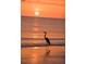 Tranquil beach sunset featuring a heron silhouette standing in the shallow, golden water at 405 S Lake Dr, Clearwater, FL 33755