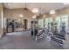 Community gym with weight machines, free weights, and mirrored walls at 4195 Welling Ter, Land O Lakes, FL 34638