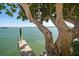 Tranquil waterfront featuring a private dock, mature tree and serene waterside retreat at 447 22Nd St, Belleair Beach, FL 33786