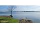 Scenic waterfront view of a lake with a tree-lined shore and tranquil water at 90 S Highland Ave # 224, Tarpon Springs, FL 34689