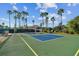 Outdoor pickleball court with palm trees and blue skies, ideal for community recreation and fitness at 1015 Harefield Cir, Sun City Center, FL 33573