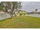 Open backyard with a mature tree, offering plenty of space for recreation and relaxation at 10730 Shady Preserve Dr, Riverview, FL 33579