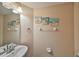 Clean bathroom with a vanity, mirror, and decorative artwork at 10730 Shady Preserve Dr, Riverview, FL 33579