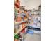 Well-stocked pantry featuring wire shelving provides ample storage space for food and kitchen supplies at 11750 Fennemore Way, Parrish, FL 34219