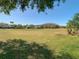 Spacious backyard with lush green grass and mature trees at 18111 Diamond Cove Ct, Tampa, FL 33647