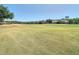 Expansive view of the lush green golf course at 18111 Diamond Cove Ct, Tampa, FL 33647