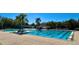 Community pool with olympic-style lanes, palm trees, and plenty of shade at 18111 Diamond Cove Ct, Tampa, FL 33647