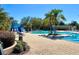 Resort-style pool area with a water slide, tropical landscaping, and plenty of space to relax and enjoy the Florida sunshine at 18111 Diamond Cove Ct, Tampa, FL 33647