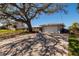 View of a single-story home with large trees and a driveway made of brick pavers at 2240 Harbor View Dr, Dunedin, FL 34698