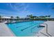 Large swimming pool with lounge chairs and shaded area; perfect for cooling off on hot summer days at 3521 Golden Wheat Ln, Plant City, FL 33565