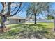 A spacious backyard featuring lush green grass and mature trees perfect for outdoor activities and relaxation at 3537 Valencia Cove Court, Land O Lakes, FL 34639
