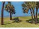 Grounds with lawn, palm trees, and water view at 50 Coe Rd # 223, Belleair, FL 33756