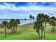 Breathtaking water view from the property, showcasing lush green grass, palm trees, and a serene blue waterway at 50 Coe Rd # 223, Belleair, FL 33756