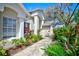 Close up of a home entrance with a walkway and lush, tropical landscaping at 503 Old Grove Dr, Lutz, FL 33548