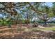 Community playground with swings and play structures in a wooded setting, perfect for families at 503 Old Grove Dr, Lutz, FL 33548