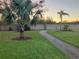 Scenic community pathway lined with palm trees and lush green grass at 6815 Dali Ave # F101, Land O Lakes, FL 34637