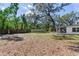 Large backyard with mature trees and expansive lawn, perfect for outdoor activities and entertaining at 303 Suzette Dr, Brandon, FL 33511