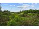 Beautiful greenery and views from the backyard at 11815 Marblehead Dr, Tampa, FL 33626