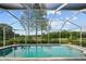 Sparkling screened-in pool with clear blue water, offering a refreshing escape at 11815 Marblehead Dr, Tampa, FL 33626