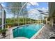 Tranquil pool area enclosed with a screen, featuring lush greenery and serene views at 11815 Marblehead Dr, Tampa, FL 33626
